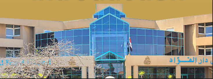 Dar AL Fouad gallery